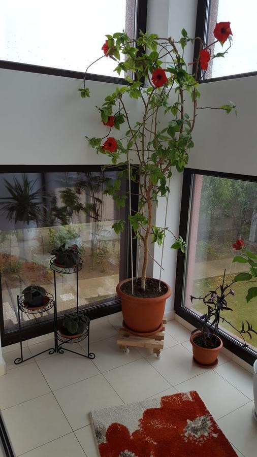 מלון טקירגיול Kys House מראה חיצוני תמונה